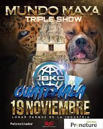 Imagen de Expo Canina Internacional